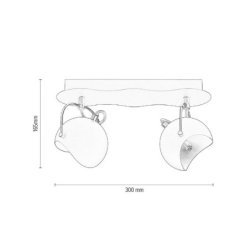 Kana Lampa Sufitowa 2xG9 28W Czarny/Złoty