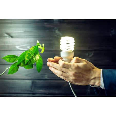 Żarówka Ozdobna Szklana G9 LED 3W barwa ciepła do tub zwisów 280lm