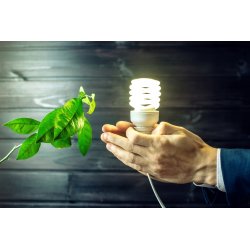 Żarówka Ozdobna G9 LED 3W barwa dzienna do tub sopli 280lm 4000K